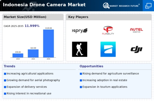 Indonesia Drone Camera Market Infographic