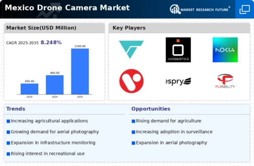 Mexico Drone Camera Market Infographic