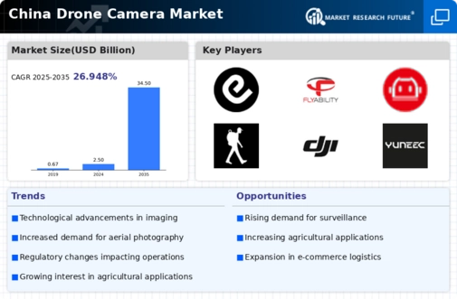 China Drone Camera Market Infographic