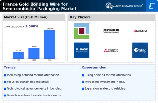 France Gold Bonding Wire for Semiconductor Packaging Market Infographic