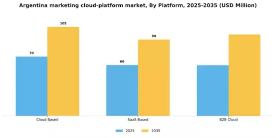 Argentina Marketing Cloud Platform Market Segment Image 1