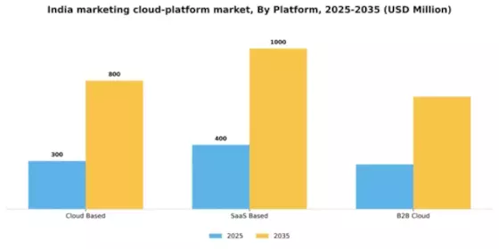 India Marketing Cloud Platform Market Segment Image 1