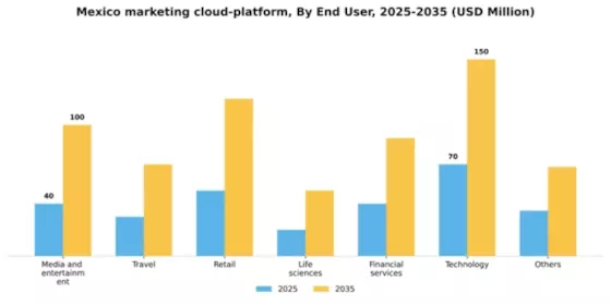 Mexico Marketing Cloud Platform Market Segment Image 0