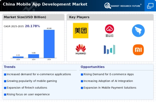 China Mobile App Development Market Infographic