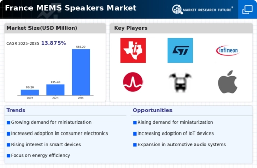 France MEMS Speakers Market Infographic