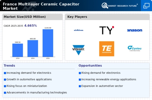 France Multilayer Ceramic Capacitor Market Infographic