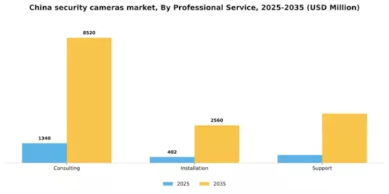 China Security Cameras Market Segment Image 1