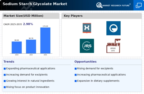 Sodium Starch Glycolate Market Infographic