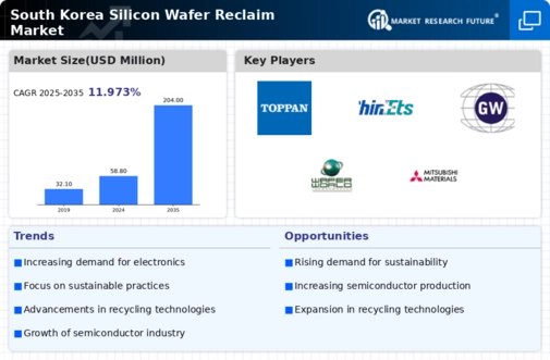 South Korea Silicon Wafer Reclaim Market Infographic
