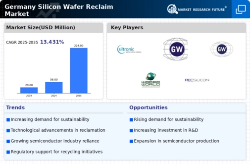Germany Silicon Wafer Reclaim Market Infographic