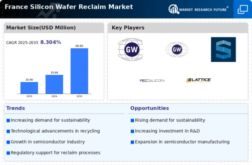 France Silicon Wafer Reclaim Market Infographic
