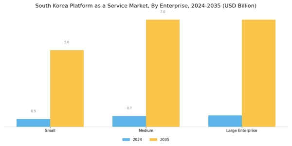 South Korea Platform As A Service Market Segment Image 1