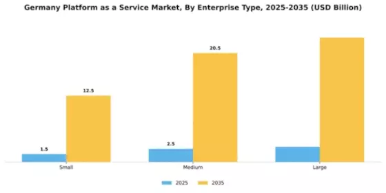 Germany Platform As A Service Market Segment Image 2