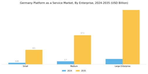 Germany Platform As A Service Market Segment Image 1