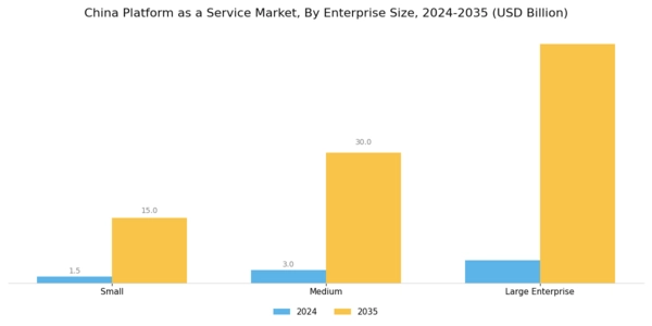 China Platform As A Service Market Segment Image 1