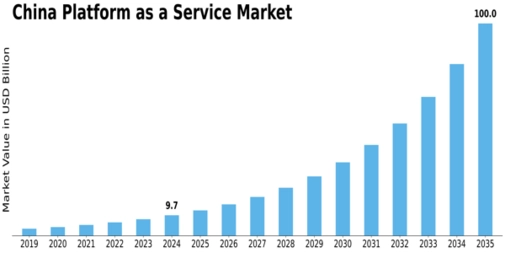 China Platform As A Service Market Size