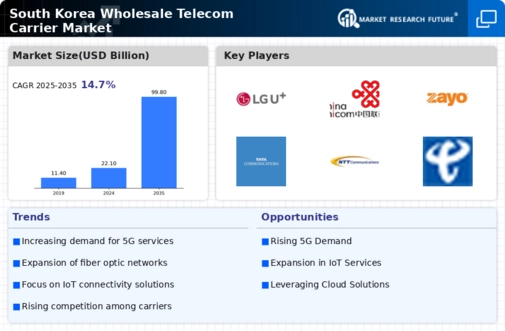 South Korea Wholesale Telecom Carrier Market Infographic