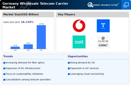 Germany Wholesale Telecom Carrier Market Infographic
