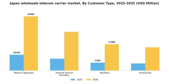 Japan Wholesale Telecom Carrier Market Segment Image 0