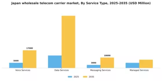 Japan Wholesale Telecom Carrier Market Segment Image 3