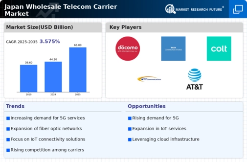 Japan Wholesale Telecom Carrier Market Infographic
