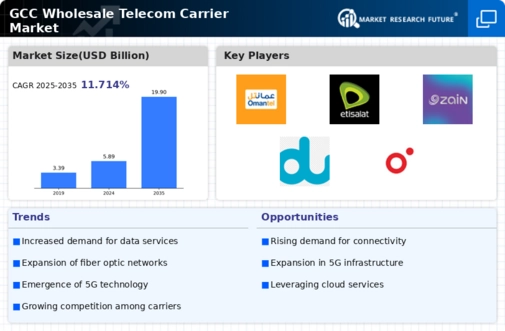 GCC Wholesale Telecom Carrier Market Infographic