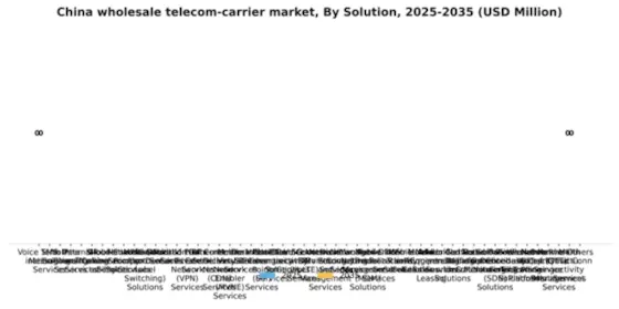 China Wholesale Telecom Carrier Market Segment Image 2