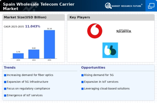 Spain Wholesale Telecom Carrier Market Infographic