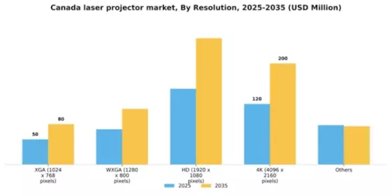 Canada Laser Projector Market Segment Image 1