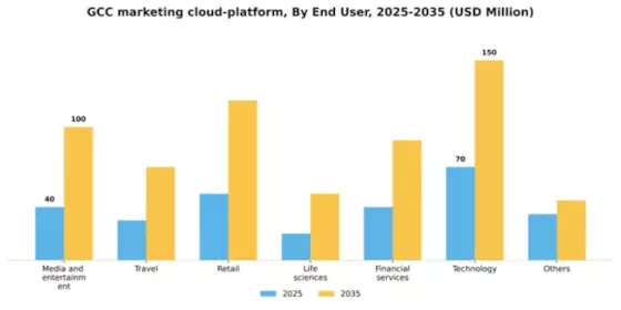 GCC Marketing Cloud Platform Market Segment Image 0