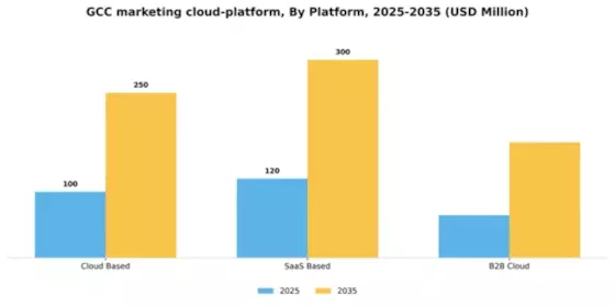 GCC Marketing Cloud Platform Market Segment Image 1