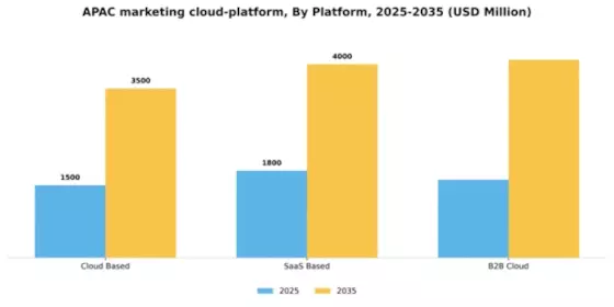 APAC Marketing Cloud Platform Market Segment Image 1