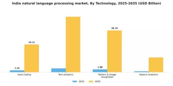 India Natural Language Processing Market Segment Image 2
