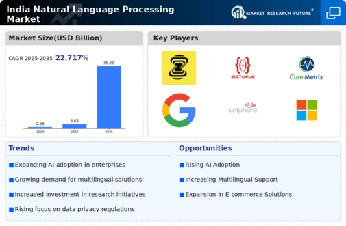 India Natural Language Processing Market Infographic