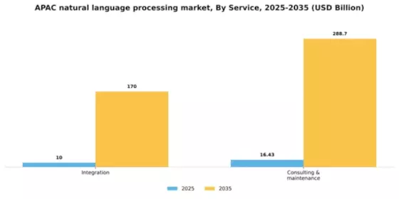 APAC Natural Language Processing Market Segment Image 1