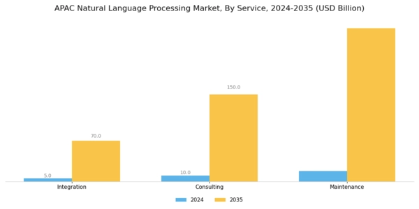 APAC Natural Language Processing Market Segment Image 3