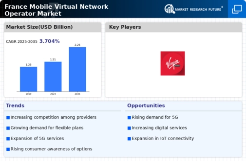 France Mobile Virtual Network Operator Market Infographic