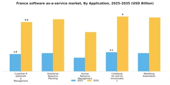 France Software As A Service Market Segment Image 0