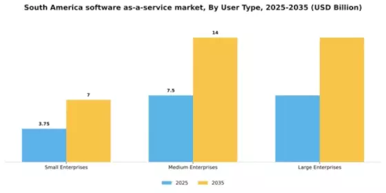 South America Software As A Service Market Segment Image 2