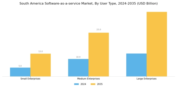 South America Software As A Service Market Segment Image 3