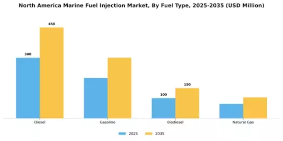 North America Marine Fuel Injection Market Segment Image 2