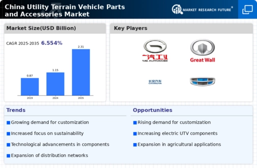 China Utility Terrain Vehicle Parts Accessories Market Infographic
