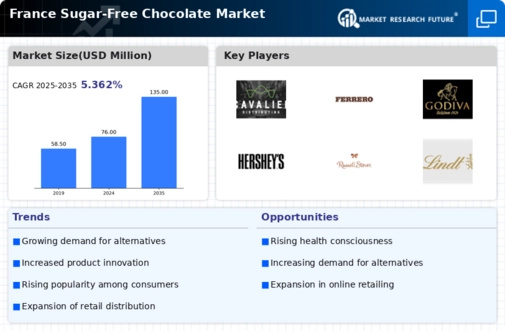 France Sugar Free Chocolate Market Infographic