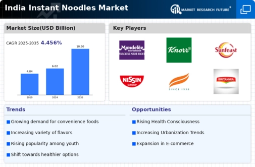 India Instant Noodles Market Infographic