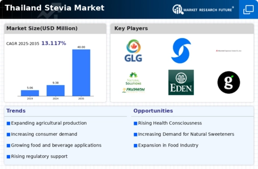 Thailand Stevia Market Infographic