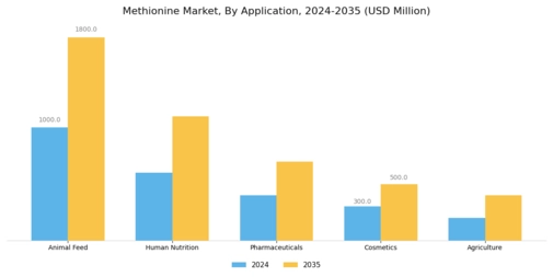 Methionine Market Segment Image 0