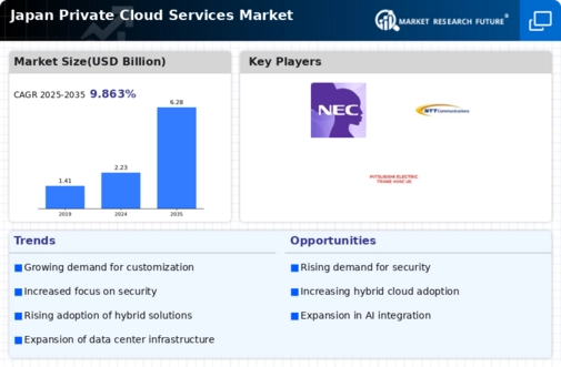 Japan Private Cloud Services Market Infographic
