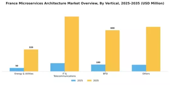 France Microservices Architecture Market Segment Image 2