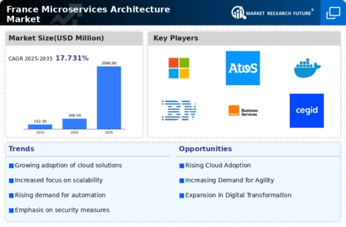France Microservices Architecture Market Infographic