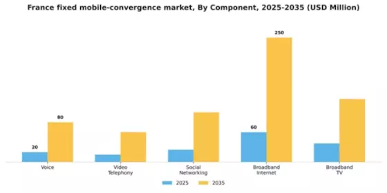France Fixed Mobile Convergence Market Segment Image 0